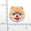 ポメラニアン（Brown）